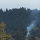 Image for article titled Shooting Challenge Smoke Gallery 1